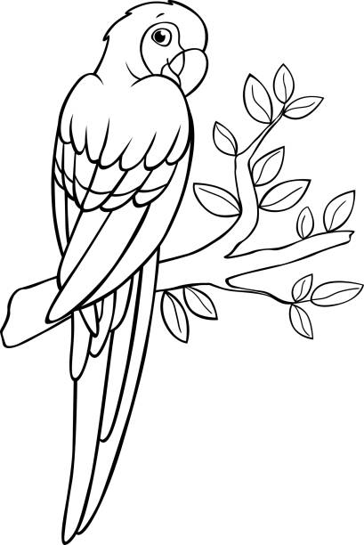 Coloring page. Cute parrot red macaw sits and smiles. Coloring page. Cute parrot red macaw sits on the tree branch and smiles. african animals coloring pages stock illustrations