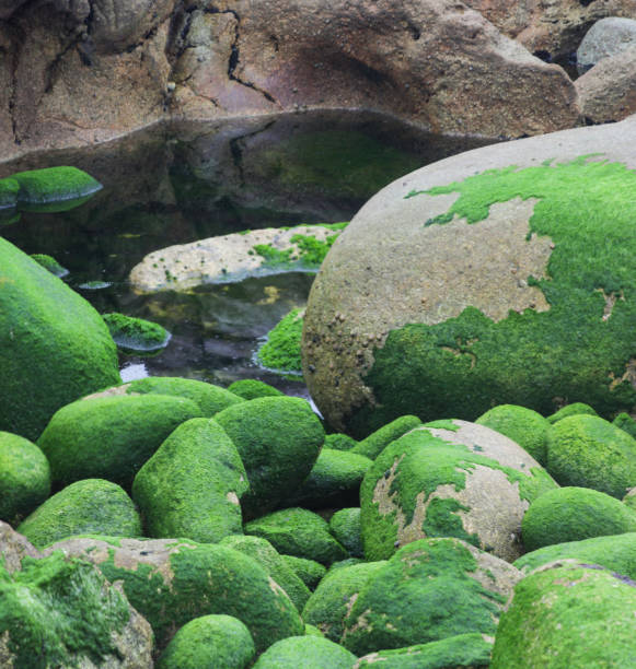 istock Foggy stones of Costa da Morte 1385483218