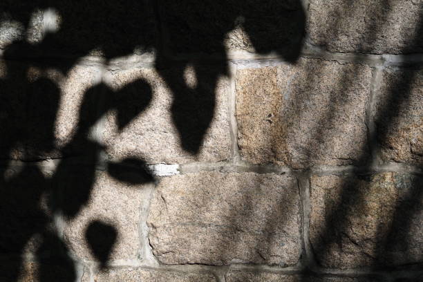 istock Shadows of leaves on stone wall 1385487901