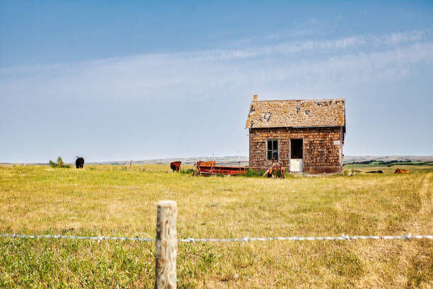 istock A small shiplap settlers house in a pasture 1385487981