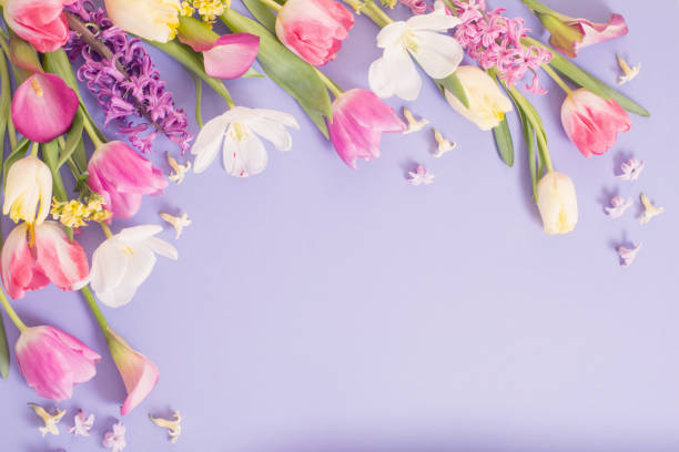 istock multicolored spring flowers on  purple background 1385490325