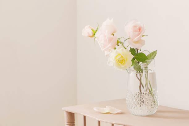 istock beautiful roses in glass jug on white background 1385490329