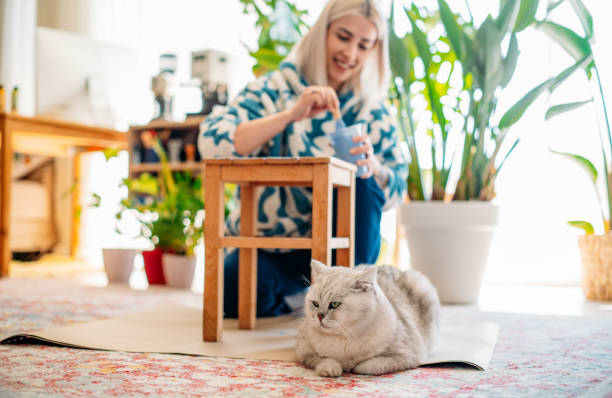 Woman Painting Coffee Table With Her Cat