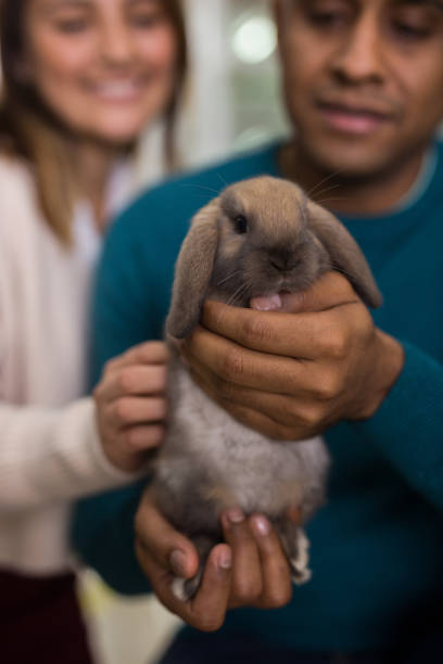 istock Happy couple holding rabbit in pet sho 1385497203