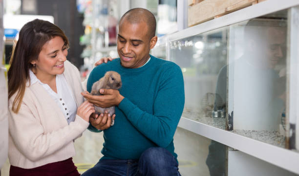 istock Happy couple holding rabbit in pet sho 1385497207