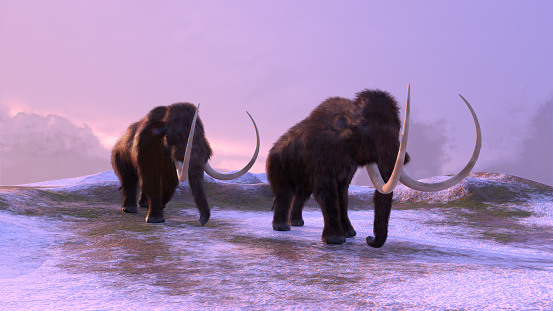 3D illustration of two mammoths in a frozen landscape