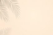 istock Palm leaves shadows on sand textured background 1385498200