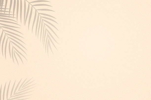 Palm leaves shadows on sand textured background Vector summer concept. Carefully layered and grouped for easy editing. beach wallpaper stock illustrations