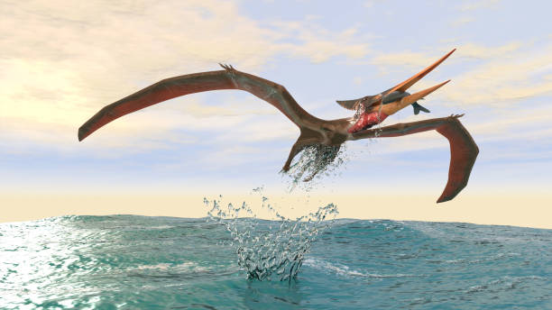 Pteranodon catching a fish stock photo