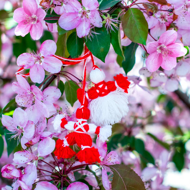 istock Martenitsa on a flowering tree.Symbol of Spring.March 1 Tradition.Baba Marta Day.Copy space.Selective focus 1385501806