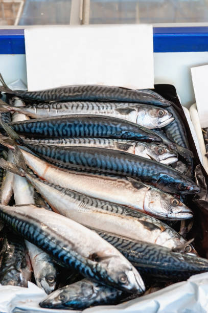 Raw mackerel is in a tray on the counter of the seafood market