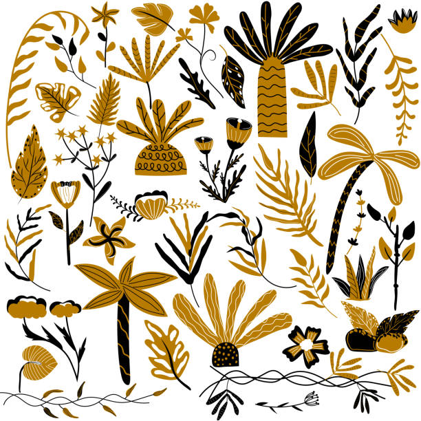 duża kolekcja tropikalnych liści i palm. liście palmowe, kwiaty, liście botaniczne do twojego projektu. ilustracja wektorowa. - pattern coconut palm tree frond textile stock illustrations