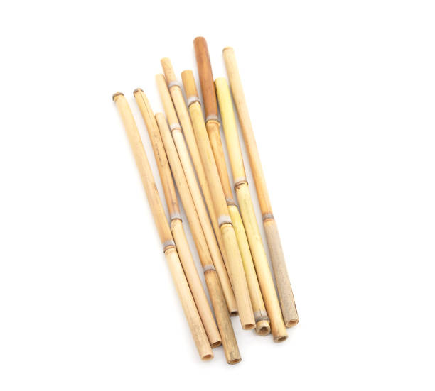 istock Bouquet of cane. 1385504845