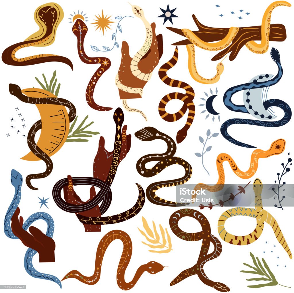 Mystical Boho Snake Set Of Snake Leaves Flowers Snake Wrapped Around ...