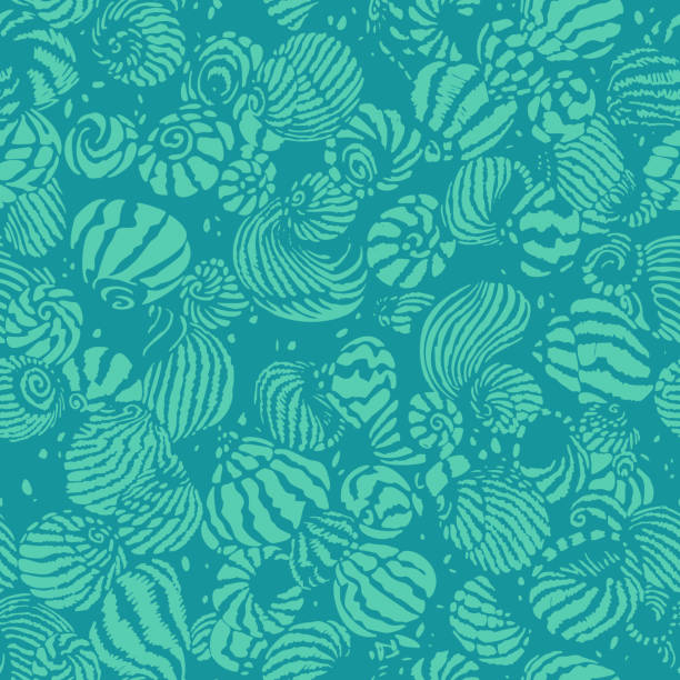 Cockleshell Print 70+ Cockleshell Flowers Drawings Stock Illustrations, Royalty-Free ...