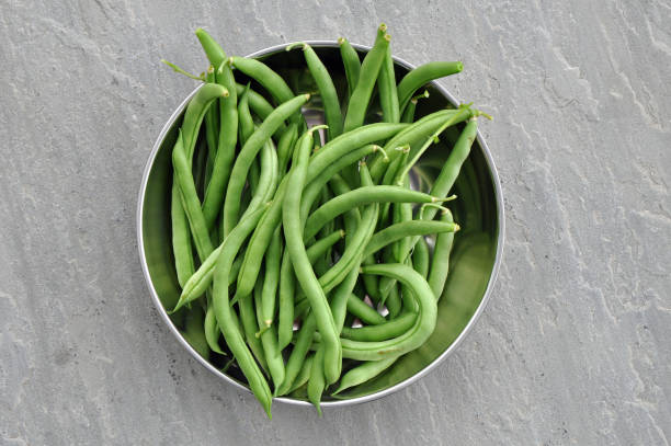 istock French green beans (Blue Lake) in a metal bowl on grey background 1385506928