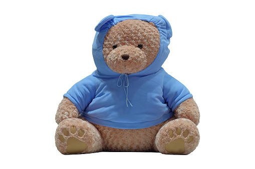 Brown teddy bear wear blue T-shirt with hood cover head, isolated on white background