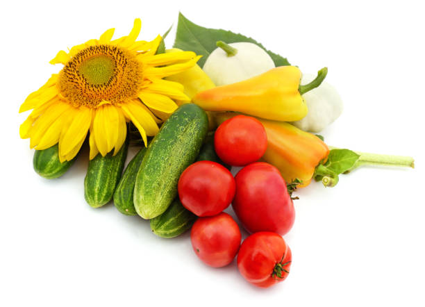 istock Bunch of vegetables. 1385513278