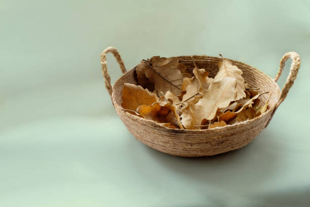 cesta hecha a mano con hojas de roble. decoración. - maple leaf close up symbol autumn fotografías e imágenes de stock
