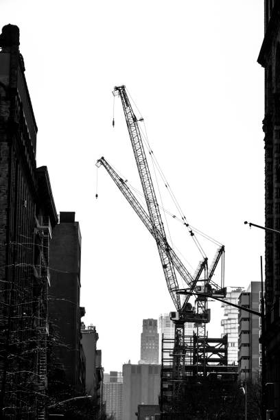 istock Crane in black and white 1385516339
