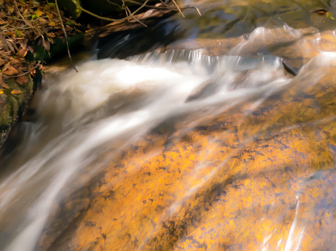 Crystal-clear river water rushes over a sunlit golden color rock.