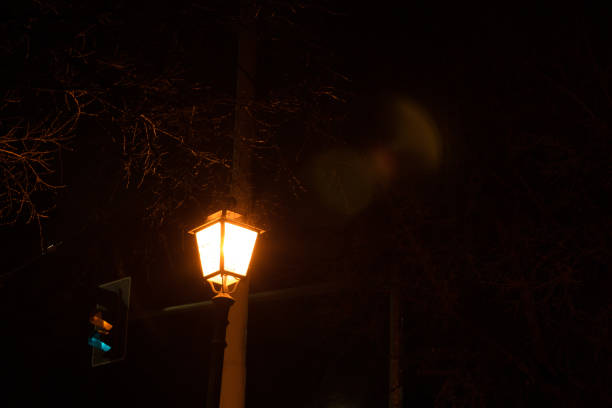 istock Ancient street lamp near a traffic light with a tree 1385525040