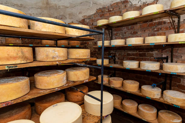 istock Cheese in ripening cellar on familiar industry 1385525388