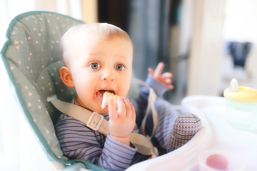 Cute 15 Month Old Baby Girl Enjoying Her Breakfast Of Buttery Toast cute-15-month-old-baby-girl-enjoying-her-breakfast-of-buttery-toast