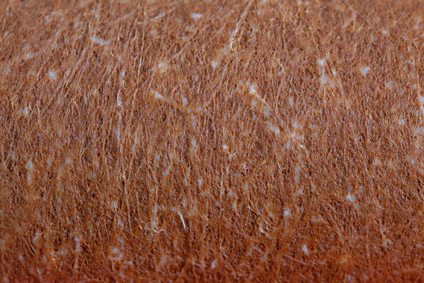 istock extreme closeup view of used, rusty and clogged mechanical polypropylene water filter PP 5 type 1385530503