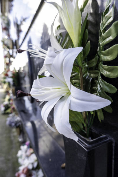 fleurs dans un cimetière - tombstone grave nobody vertical photos et images de collection