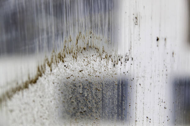 glass with mud - dirt road textured dirt mud imagens e fotografias de stock