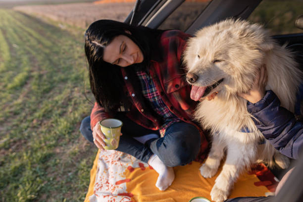 istock It's always fun making trips to the local forest 1385532536