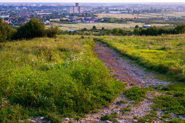 istock Path in Carphatian Mountains at sunset 1385532687
