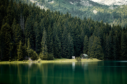 Beautiful nature scenery. Reflection in water of forest of towering pine trees. Mountain lodge in summer. Nature, forest concept