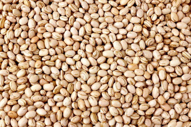 Background with Carioca beans. bean texture. Product name in Brazilian Portuguese Background with Carioca beans. bean texture. Product name in Brazilian Portuguese. Top view bean stock pictures, royalty-free photos & images