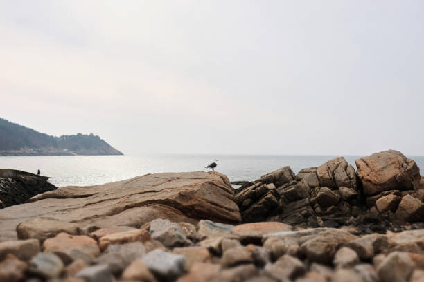 Eurwangni Beach. South Korea sea landscape.