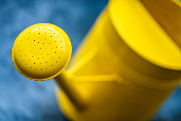 Rustic yellow watering can