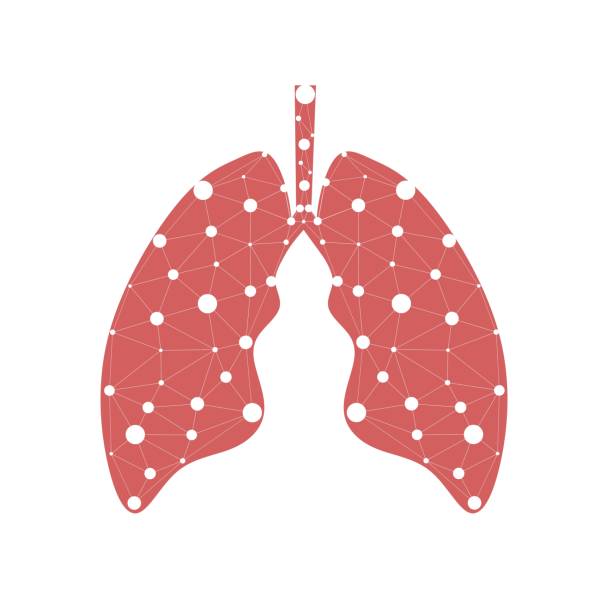 istock Healthy lungs medicine connected model. Triangle connected dots point. Online doctor World Tuberculosis day modern innovative technology vector illustration. Abstract human lung with dots and lines. 1385563139