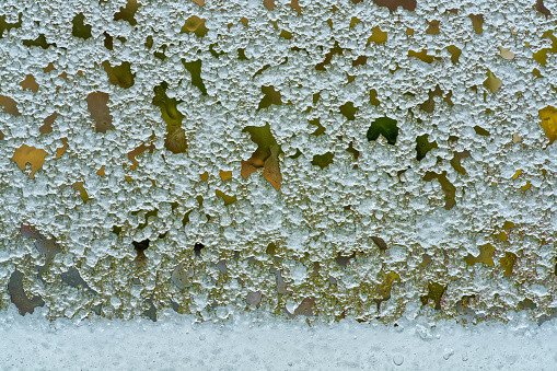 Wet snow gathering on a cottage window