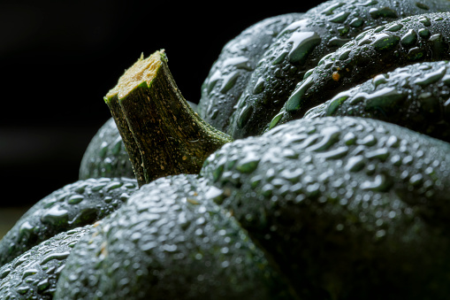 Acorn squash covered in water drops