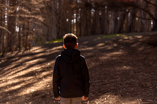 High quality stock photos of a 11-year-old boy exploring a large Cypress grove of trees.