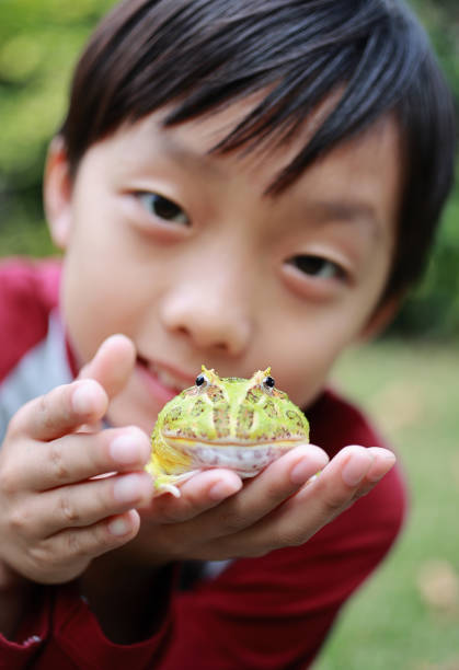 Asia boy Holding Frog