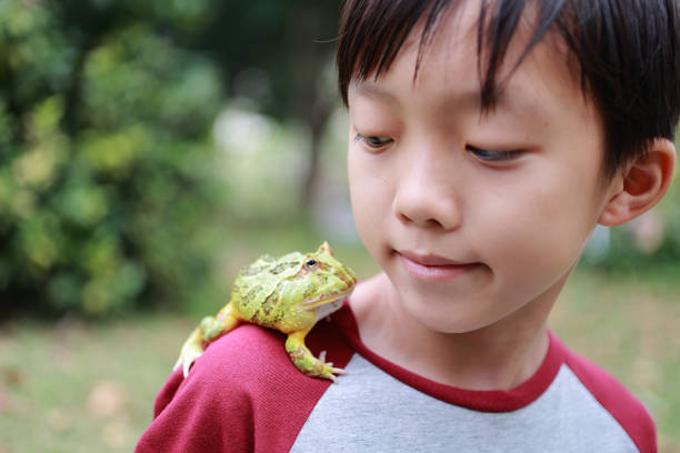 istock Asia boy Holding Frog 1385575873