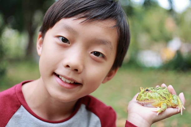 istock Asia boy Holding Frog 1385575916