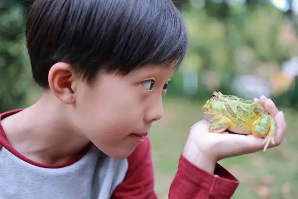 Photo of Asia boy Holding Frog