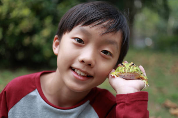istock Asia boy Holding Frog 1385575957