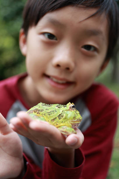 istock Asia boy Holding Frog 1385575965