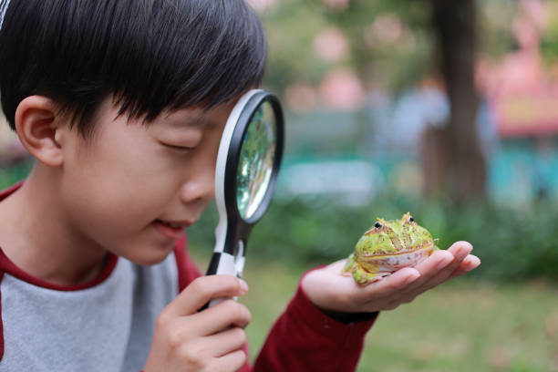 istock Asia boy Holding Frog 1385575981