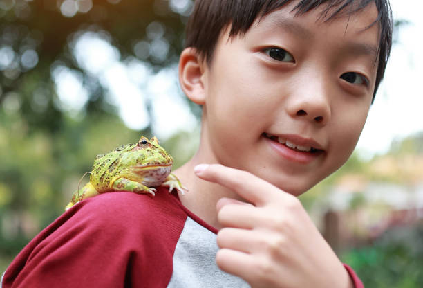 Asia boy Holding Frog