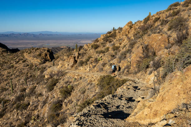 istock Hiker Heading Down Hugh Norris Trail In Saguaro 1385582681
